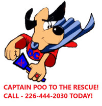 dog poo, poop, waste clean up. from $60. plus other cleaning ...