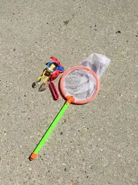 Butterfly Catching Kit