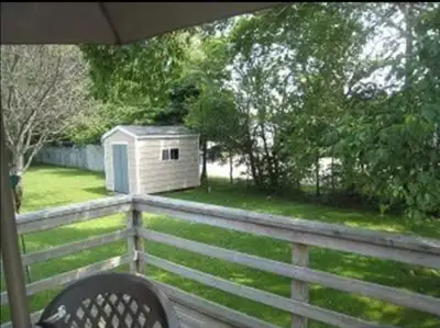Adorable 3 bedroom house available for rent