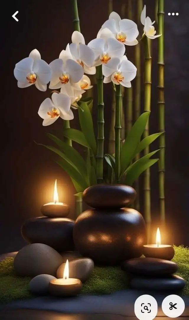 New Indian massage 63240734743811120