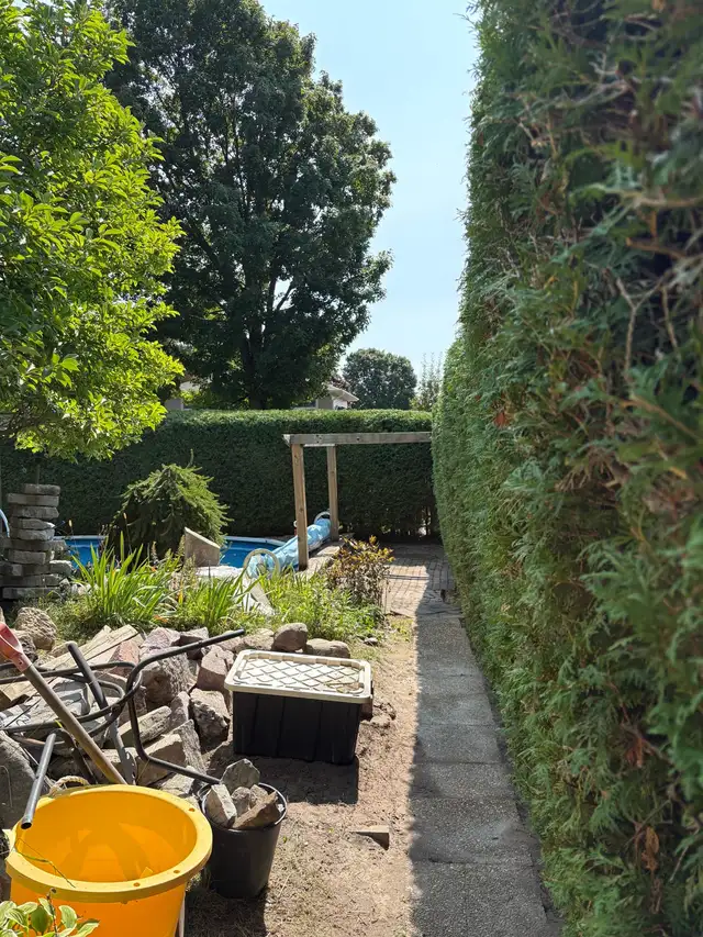  Fall Cleanups & Seasonal Yard Care – Book Before Winter! 63826837021955124