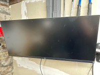 LG 34” Widescreen Monitor