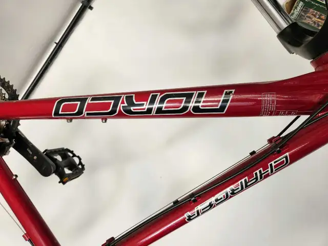 Norco Charger in Mountain in Edmonton - Image 3