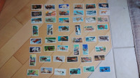 Collection vintage de 48 cartes provenant de boites de thé