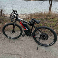 Electric mountain bike (TankX)