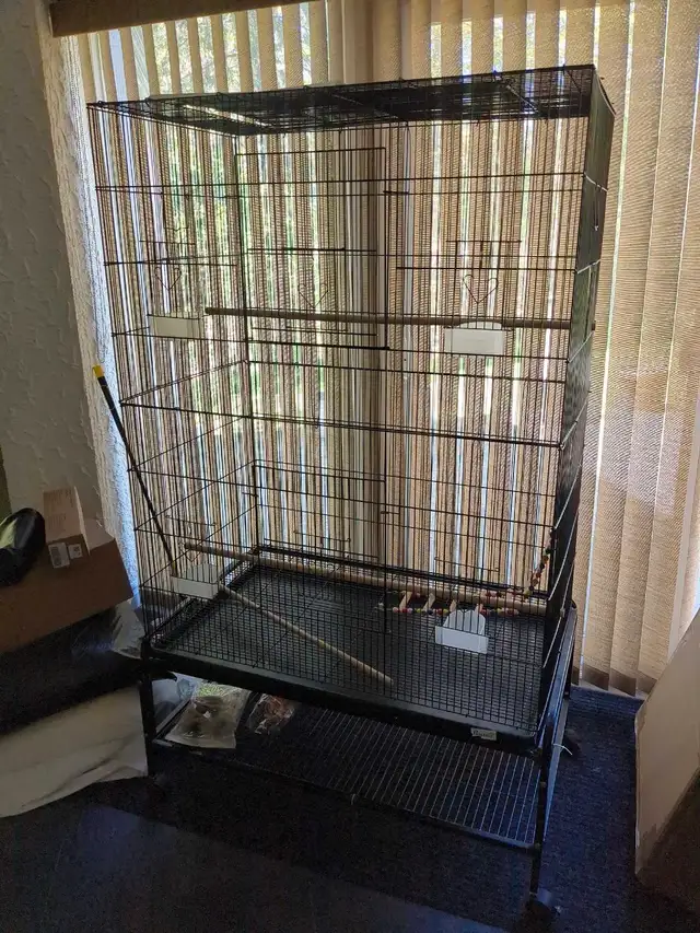 Bird cage in Other in City of Toronto - Image 2