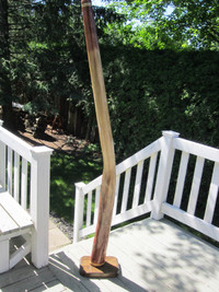 Didgeridoo en érable (Tortue de mer)