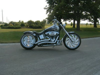 2004 Harley Soft Tail