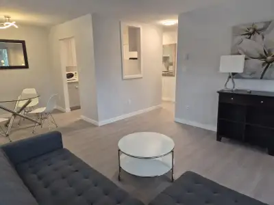 Fully Furnished 1-Bedroom Apartment with Mountain Views Bright and welcoming corner suite featuring...