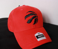 NEW Toronto Raptors hat