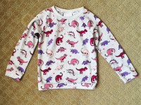 Place Sweater Sweatshirt Sz 6, Dinosaur Cotton