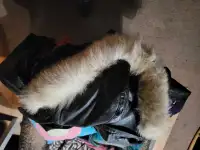 Ladies assorted leather coats 