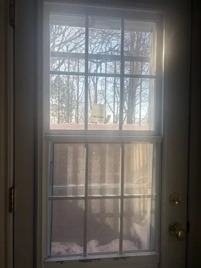 walkout Basement For Rent for Apr 1st