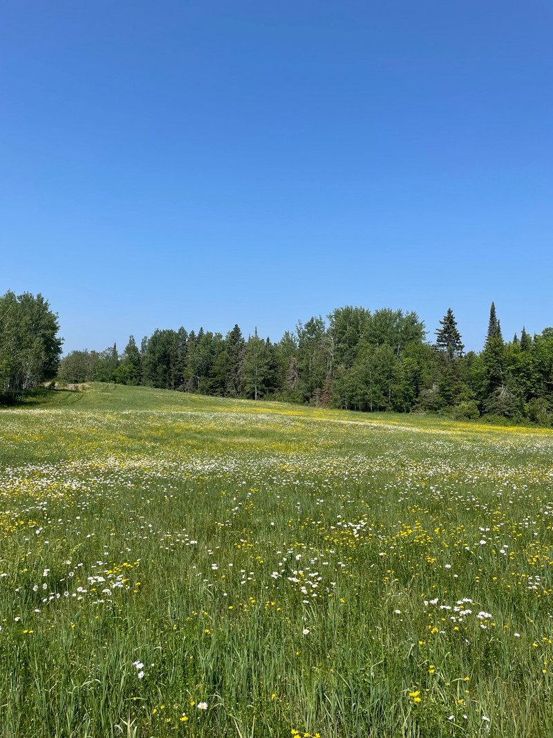 Land for sale Land for Sale Thunder Bay Kijiji