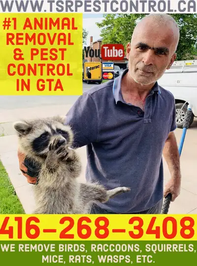 ANIMAL REMOVAL PEST CONTROL RACCOON SQUIRREL MOUSE RAT WASP HIVE, View more