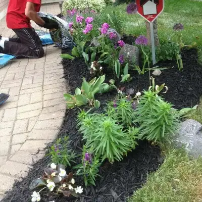 looking for people with landscaping / gardening experience , View more