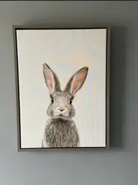 Rabbit Picture with Frame 