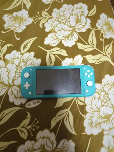 Nintendo Switch Lite for sale, View more