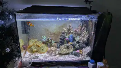 Fluval 13.5 gallon salt water tank. Skimmer light filter. And many stuff In milton