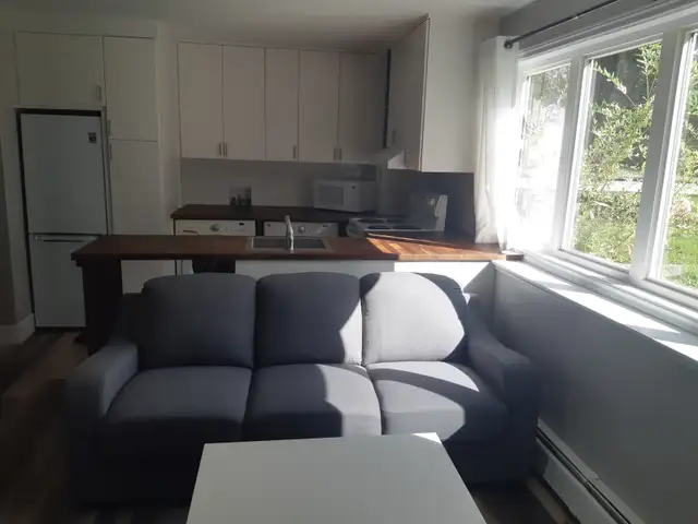 Newly Renovated One-Bedroom Apartment for Rent (Max 2 persons) in Long Term Rentals in Charlottetown - Image 4