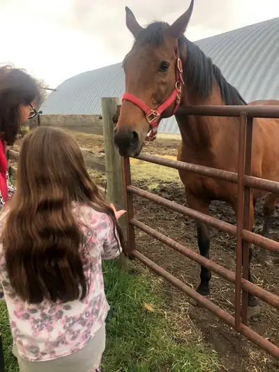 Reading Recovery and Literacy with a Thoroughbred, View more