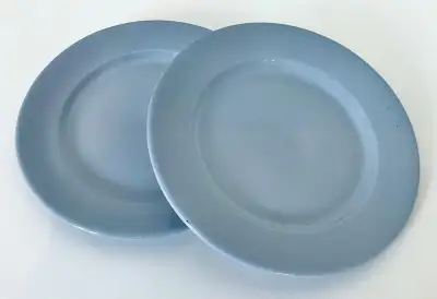 LIRE JUSQU'À LA FIN DU TEXTE. Antiquité 1956. Collection. Ensemble de deux assiettes en porcelaine d...