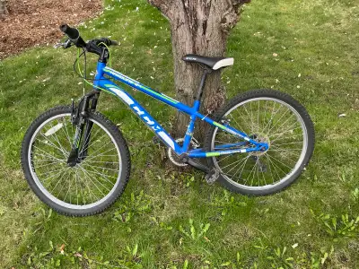 CCM Hardline 24, View more