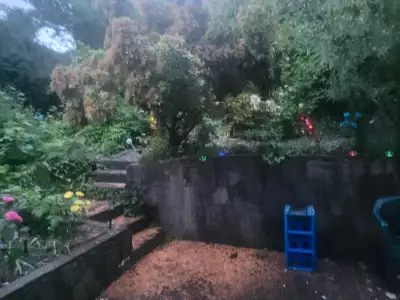 A space available in shared room for July 1st in Burnaby Holdom