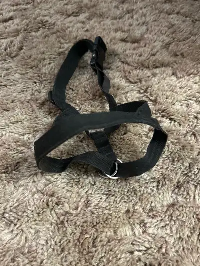 Halti for large dog, View more