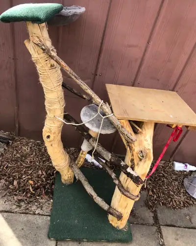 big cat tree for $20, View more