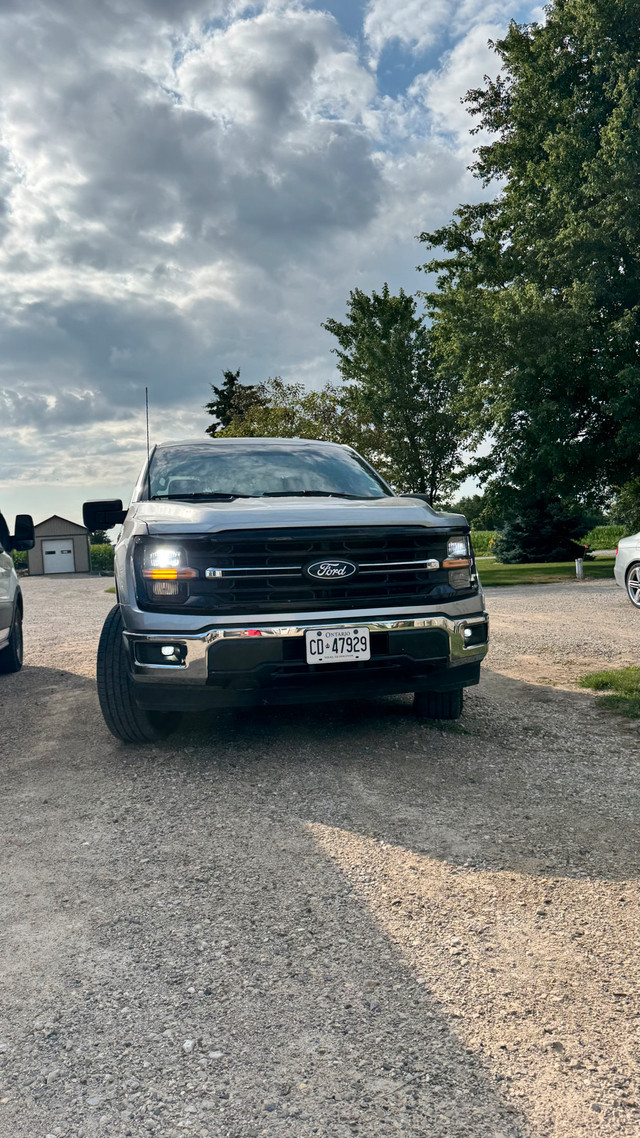 2024 ford F150 in Cars & Trucks in Kitchener / Waterloo - Image 3