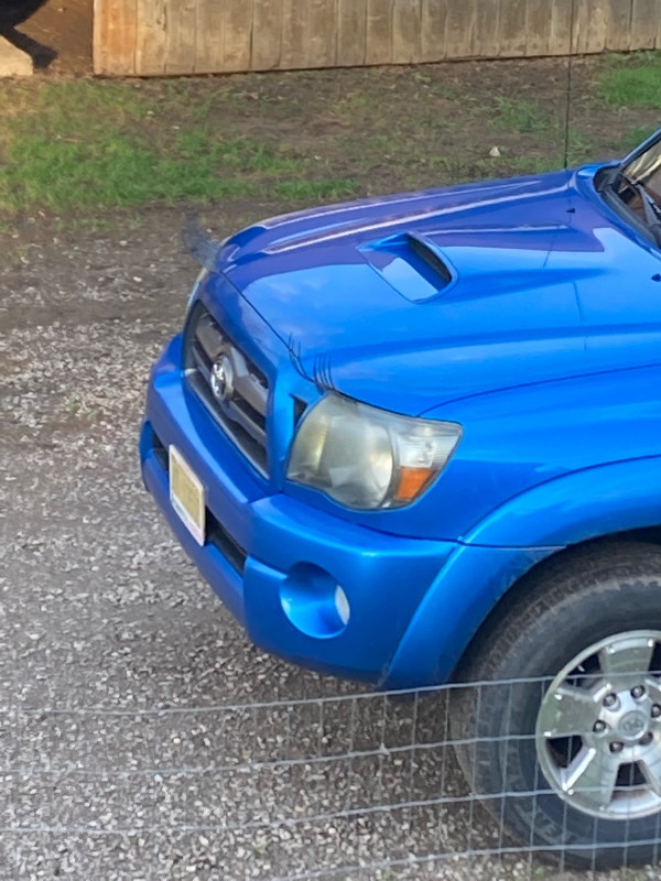 Toyota Tacoma | Cars & Trucks | Norfolk County | Kijiji