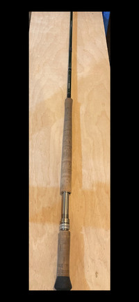 sage VXP spey rod 13’ 6” with hard case and roll. 