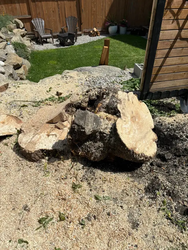 STUMP/TREE REMOVAL63581884984707122