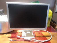 Apple Cinema Display