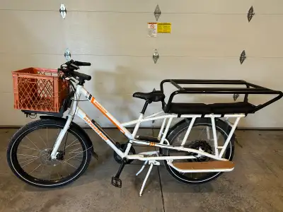 Radwagon e-bike 2020, View more