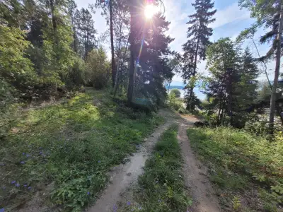 Amazing 2.34 acres in Lee Creek at Shuswap Lake. Gentle slope wih level building sites Large lake vi...