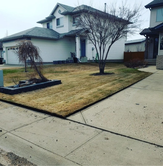 SPRING SPECIALS TREE / BUSH REMOVAL ROTOTILLING Lawn, Tree Maintenance & Eavestrough