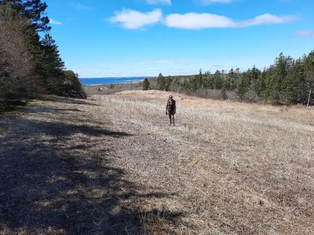 land with ocean views  in Land for Sale in City of Halifax - Image 6