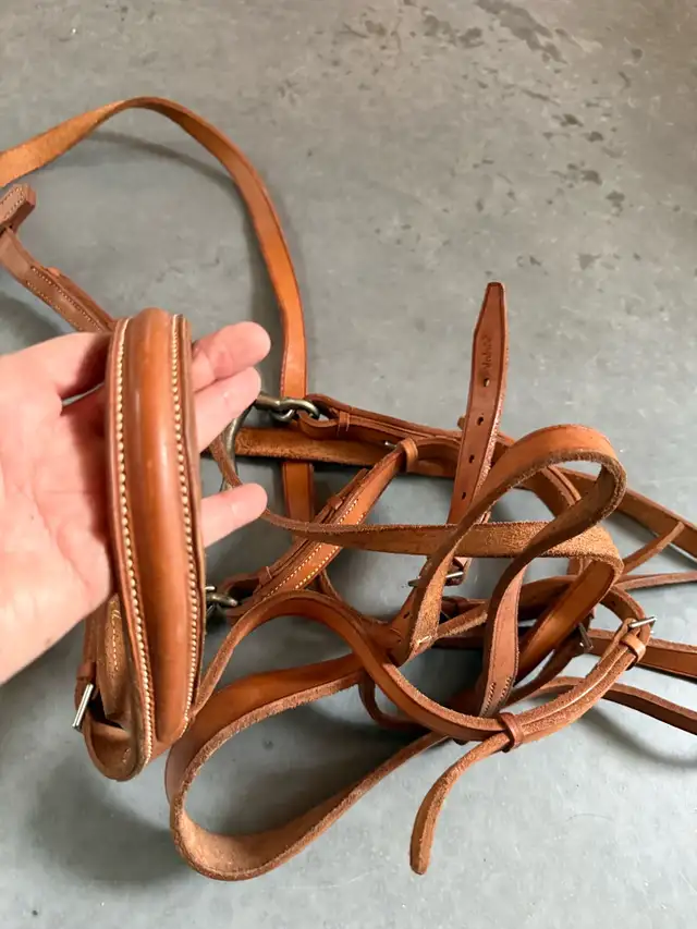 Bride de Cheval en cuir et corde d’attache in Equestrian & Livestock Accessories in Laurentides - Image 5