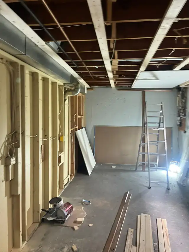 Handyman/Carpenter601415059695226885