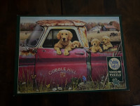Cobble Hill Golden puppies puzzle: 1000 pc