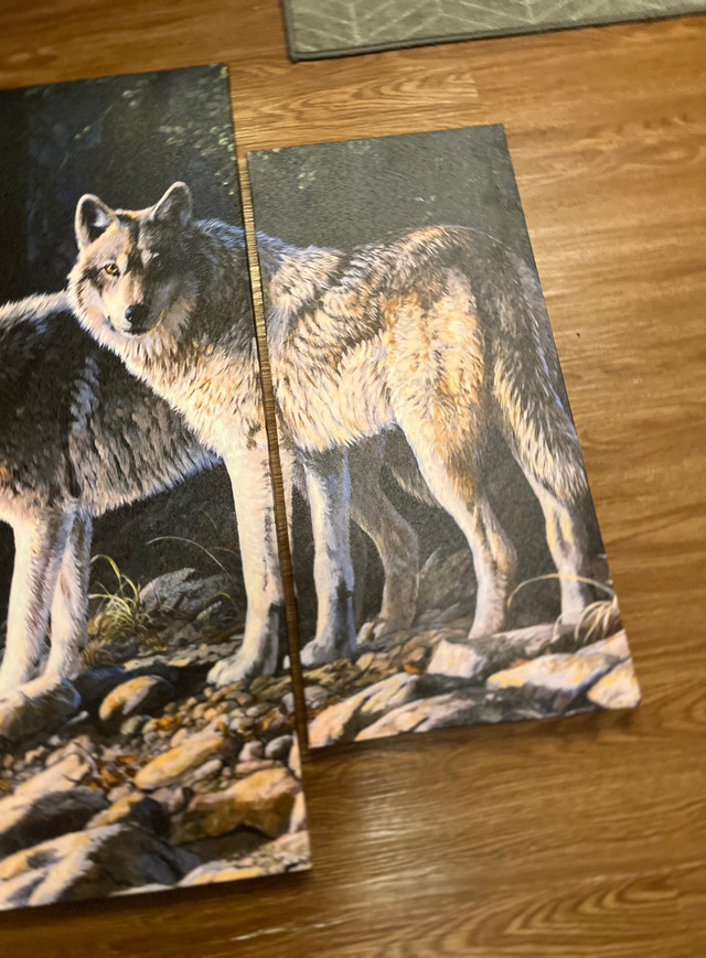 Canvas 4 Panel Wolf Picture  in Home Décor & Accents in Bridgewater - Image 4