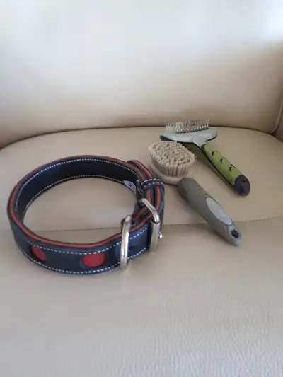 COLLIER POUR CHIEN EN CUIR AVEC BROSSES COMME NEUF VOIR MES AUTRES ANNONCES