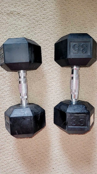 35LB Dumbbells