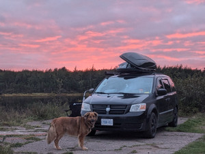 2010 Dodge Grand Caravan