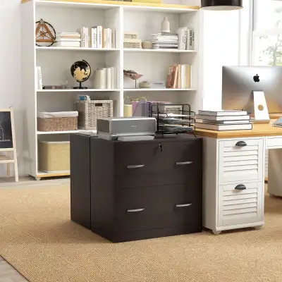 2 Drawer File Cabinet with Lock, Office Filing Cabinet, Hanging , View more