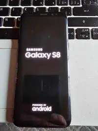 Samsung Galaxy S8 + OtterBox + Oculus 3D