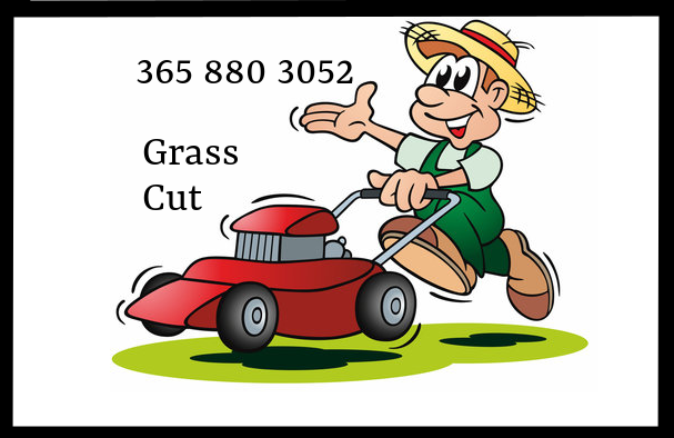 $45+ GRASS CUT SAME DAY NEXT DAY 365-880-3052 in Lawn, Tree Maintenance & Eavestrough in City of Toronto - Image 2