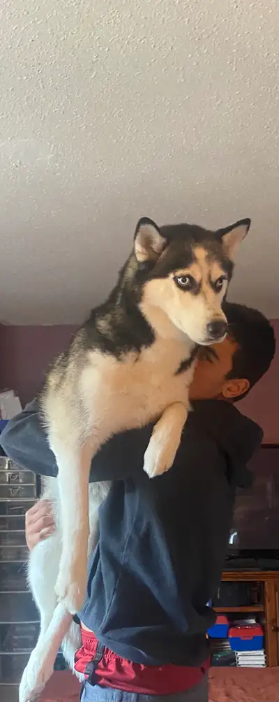 needs more space , View more